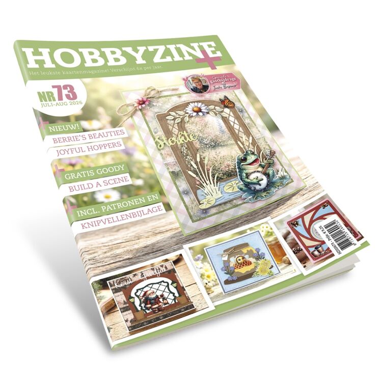 Hobbyzine 73